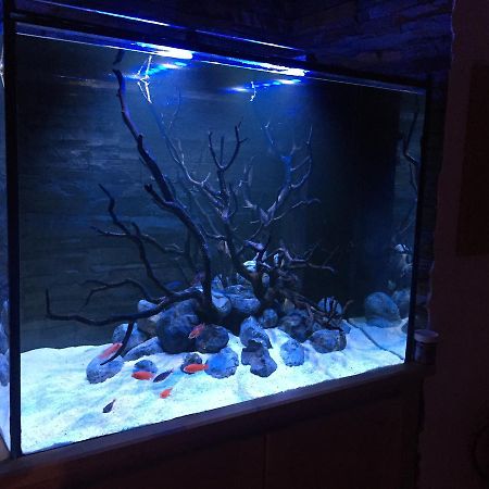 Appartamento Aquarium House Sesimbra Esterno foto